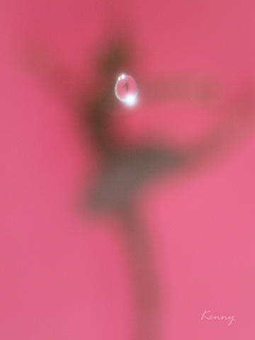 c0199386_8594512.jpg
