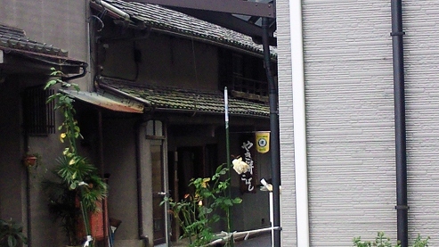 b0100489_9502427.jpg