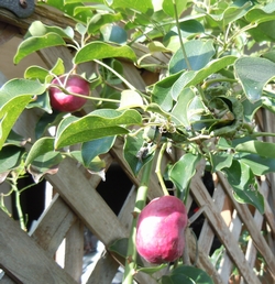 b0162790_0455590.jpg