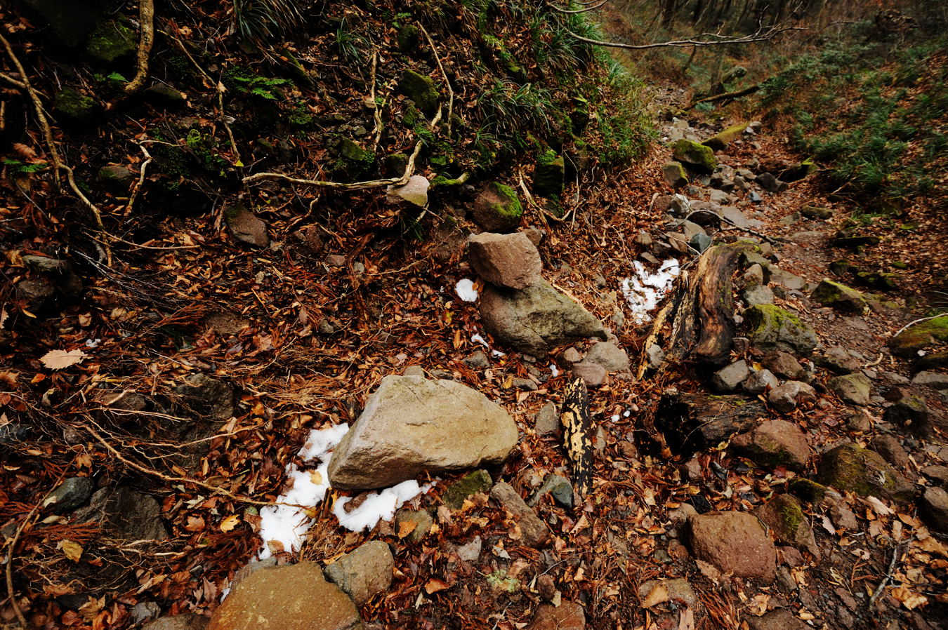 c0138991_21562237.jpg