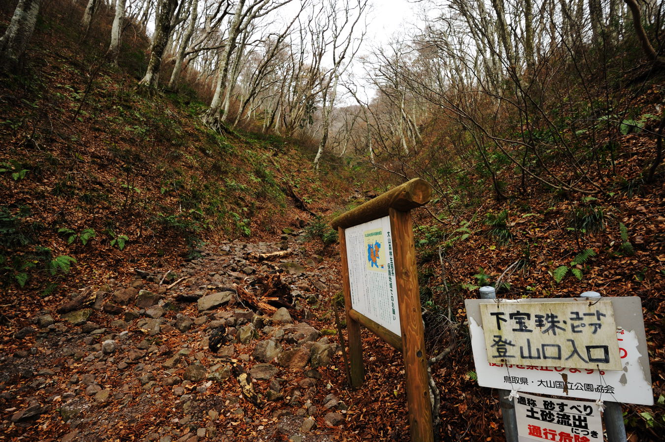 c0138991_2211580.jpg
