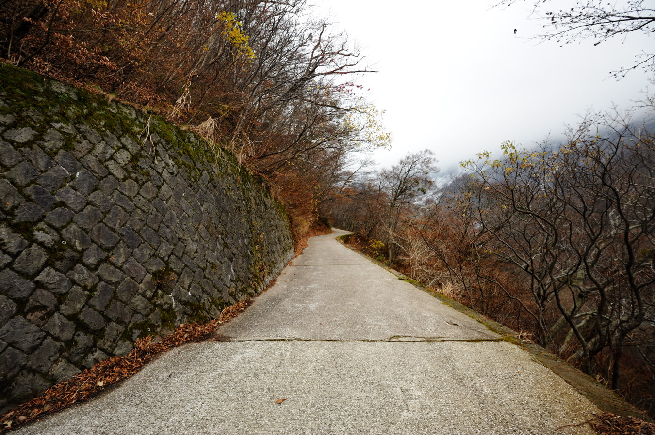 c0138991_2285737.jpg