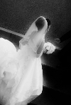 d0133693_2015249.jpg