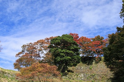 a0222494_16402765.jpg