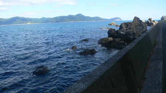 d0055397_7441484.jpg