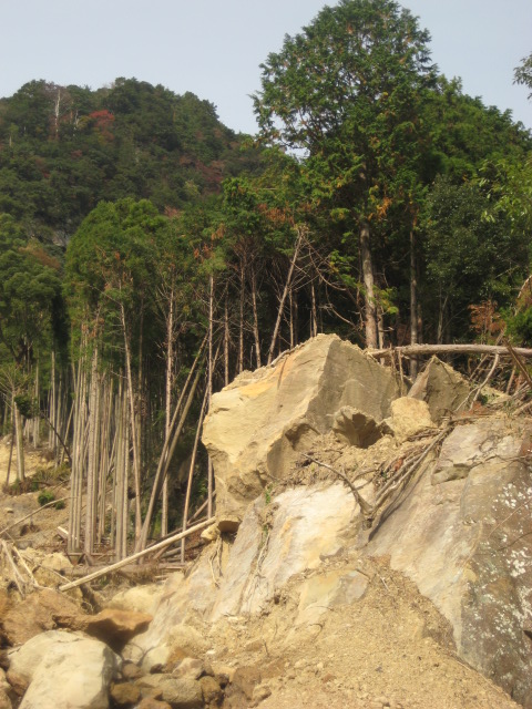 a0193698_20233753.jpg