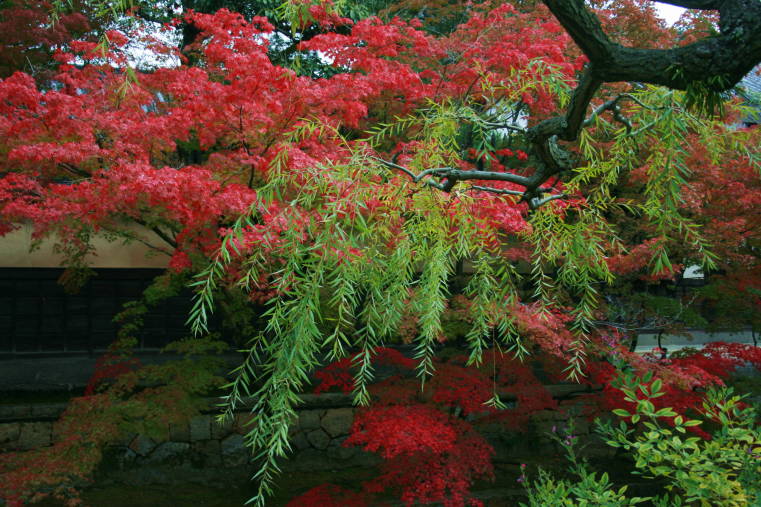 f0031304_7192583.jpg