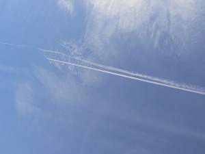 f0006509_004596.jpg