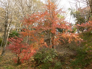 f0006509_0262269.jpg