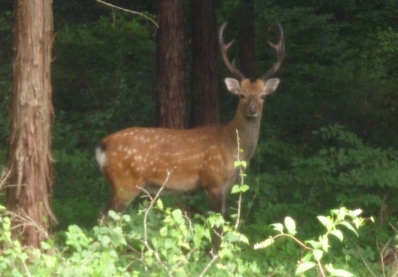 e0078510_2230277.jpg