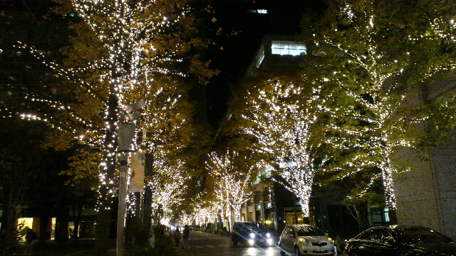 b0035611_16544345.jpg