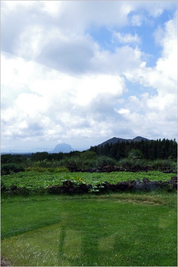 e0200811_13435076.jpg
