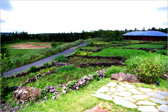 e0200811_1720112.jpg