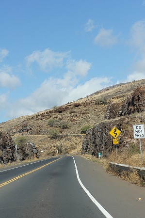 d0163317_7493427.jpg