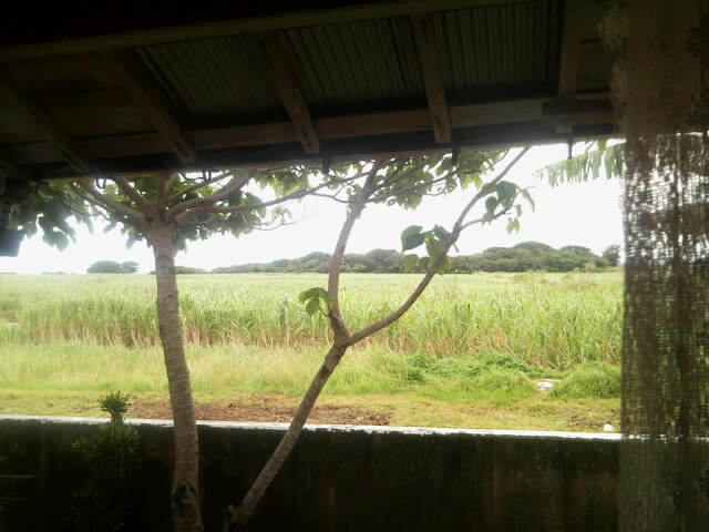 f0197325_849936.jpg