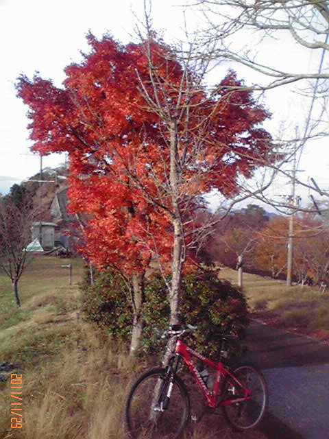 b0222530_9423190.jpg