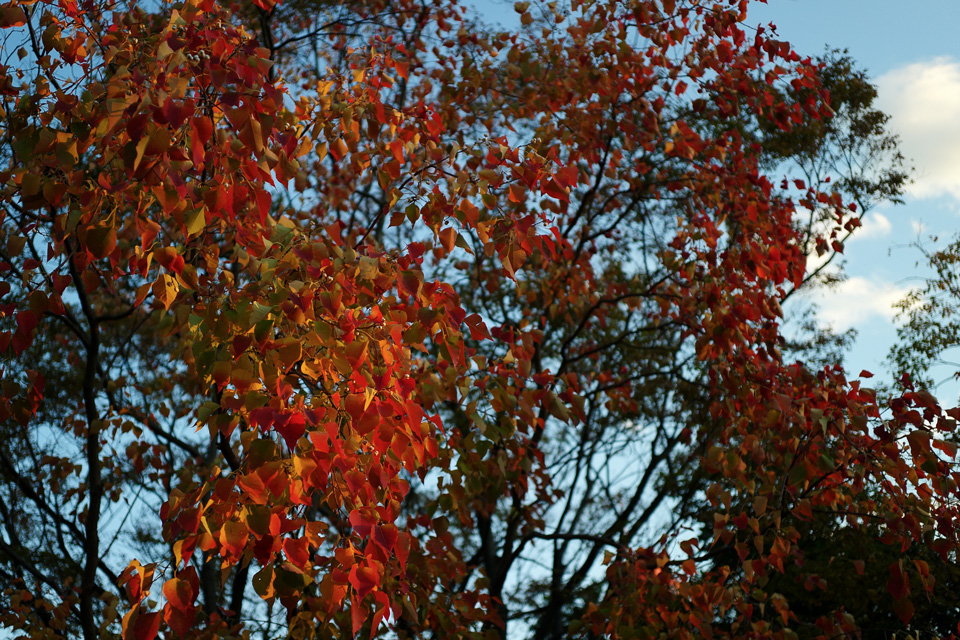 b0235930_21565148.jpg