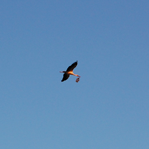 a0023740_22181013.jpg