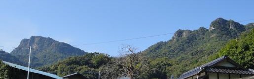 e0164643_16948.jpg