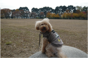 b0182846_1431108.gif