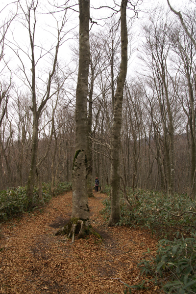 f0214649_62057.jpg