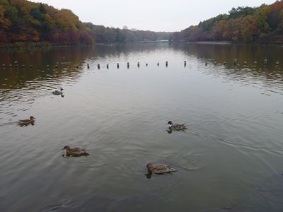 b0220251_5304957.jpg