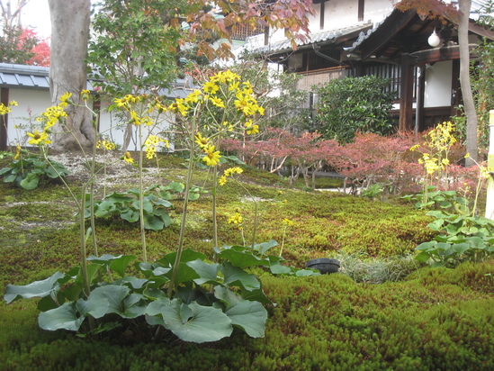 c0073152_22273690.jpg