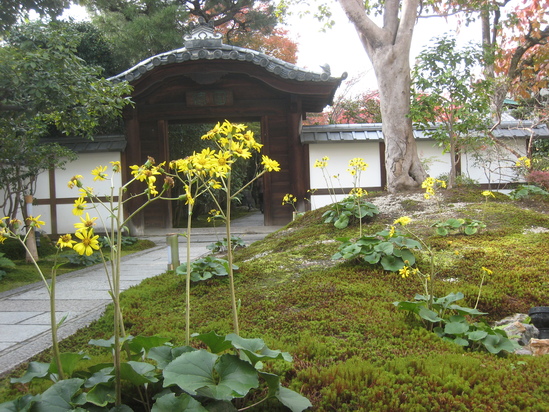 c0073152_2227654.jpg