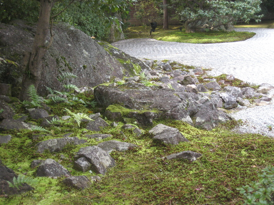 c0073152_2252527.jpg