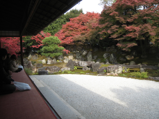 c0073152_2334254.jpg
