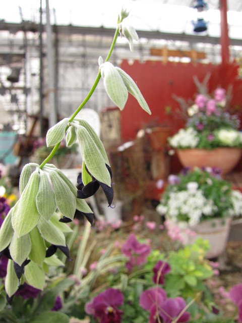 f0220152_18164981.jpg