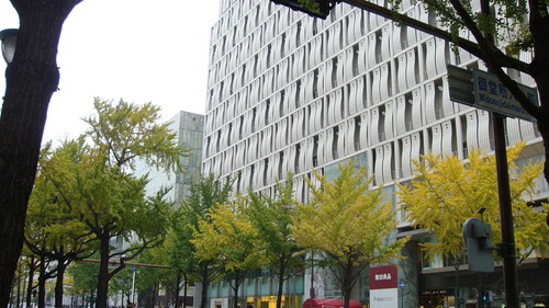 a0212656_8352785.jpg