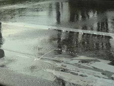 c0108460_1716319.jpg
