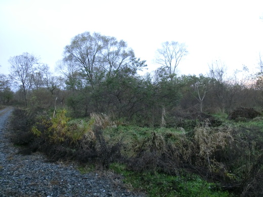 b0178466_2323443.jpg