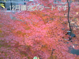 f0061067_2120323.jpg