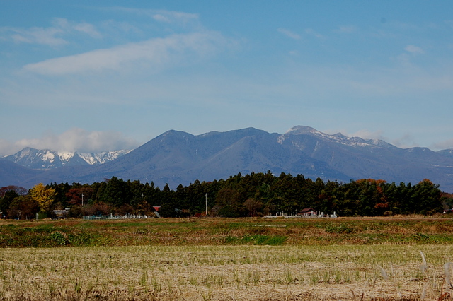 b0203588_15134418.jpg