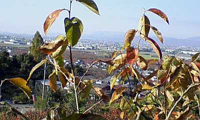 b0128589_182109.jpg