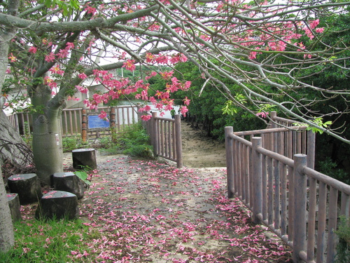 c0064389_18302330.jpg