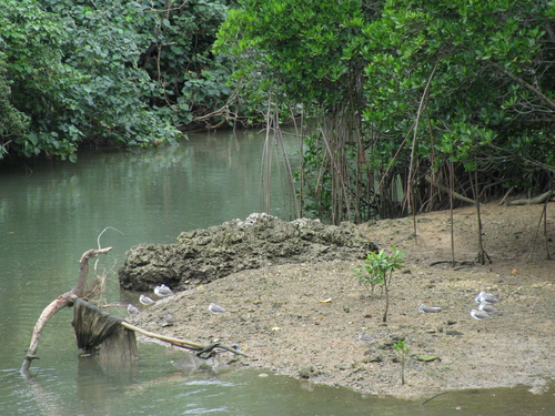 c0064389_18342292.jpg