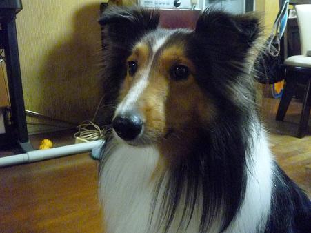 c0123890_2150976.jpg