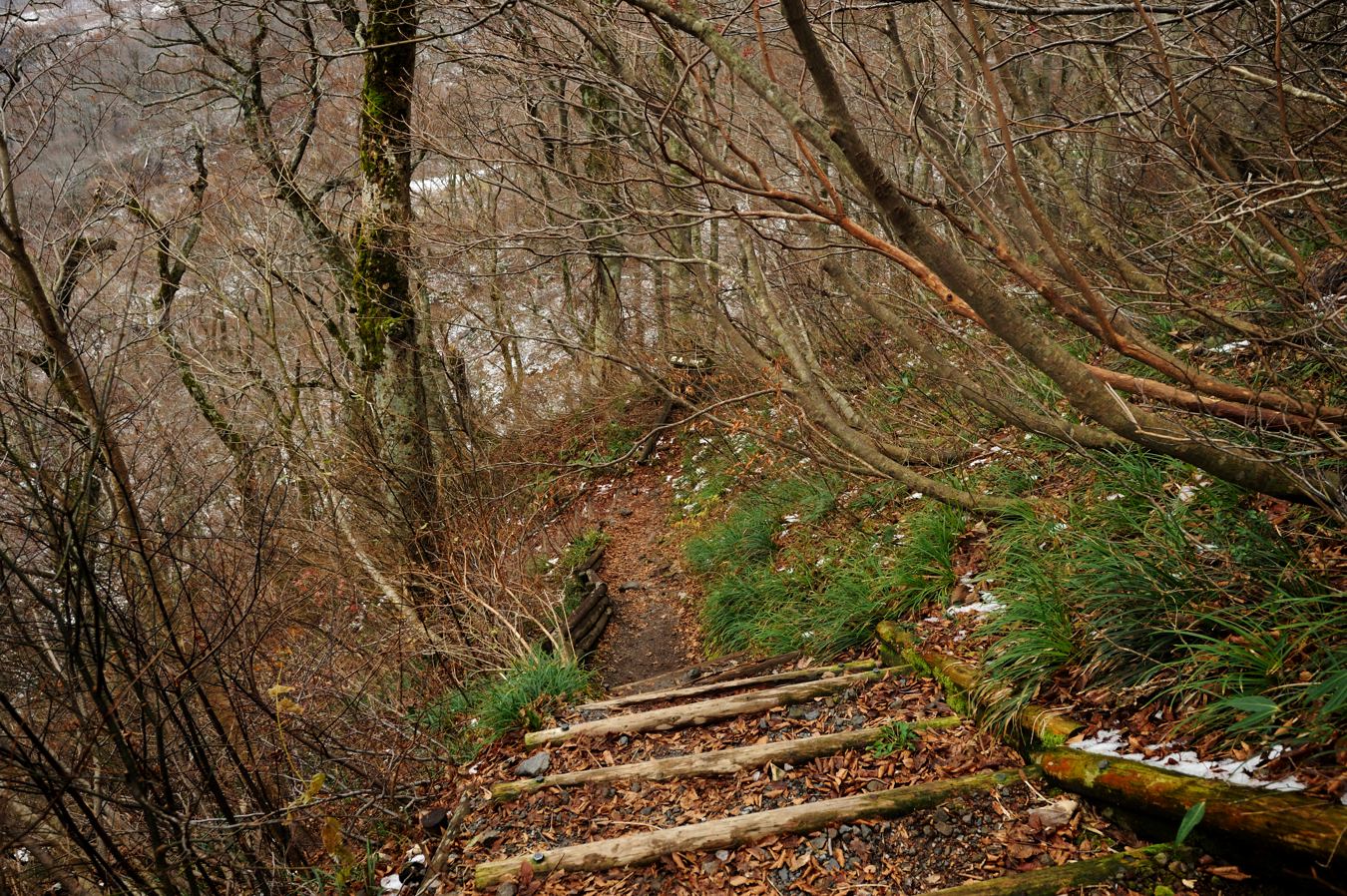 c0138991_2158416.jpg