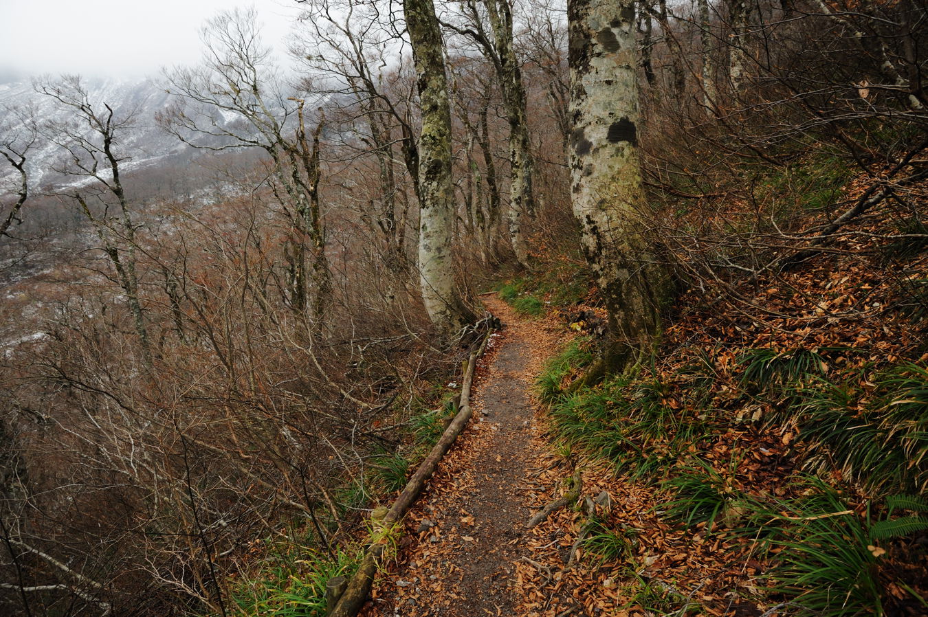 c0138991_221628.jpg