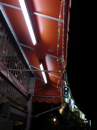 d0030597_8111217.jpg
