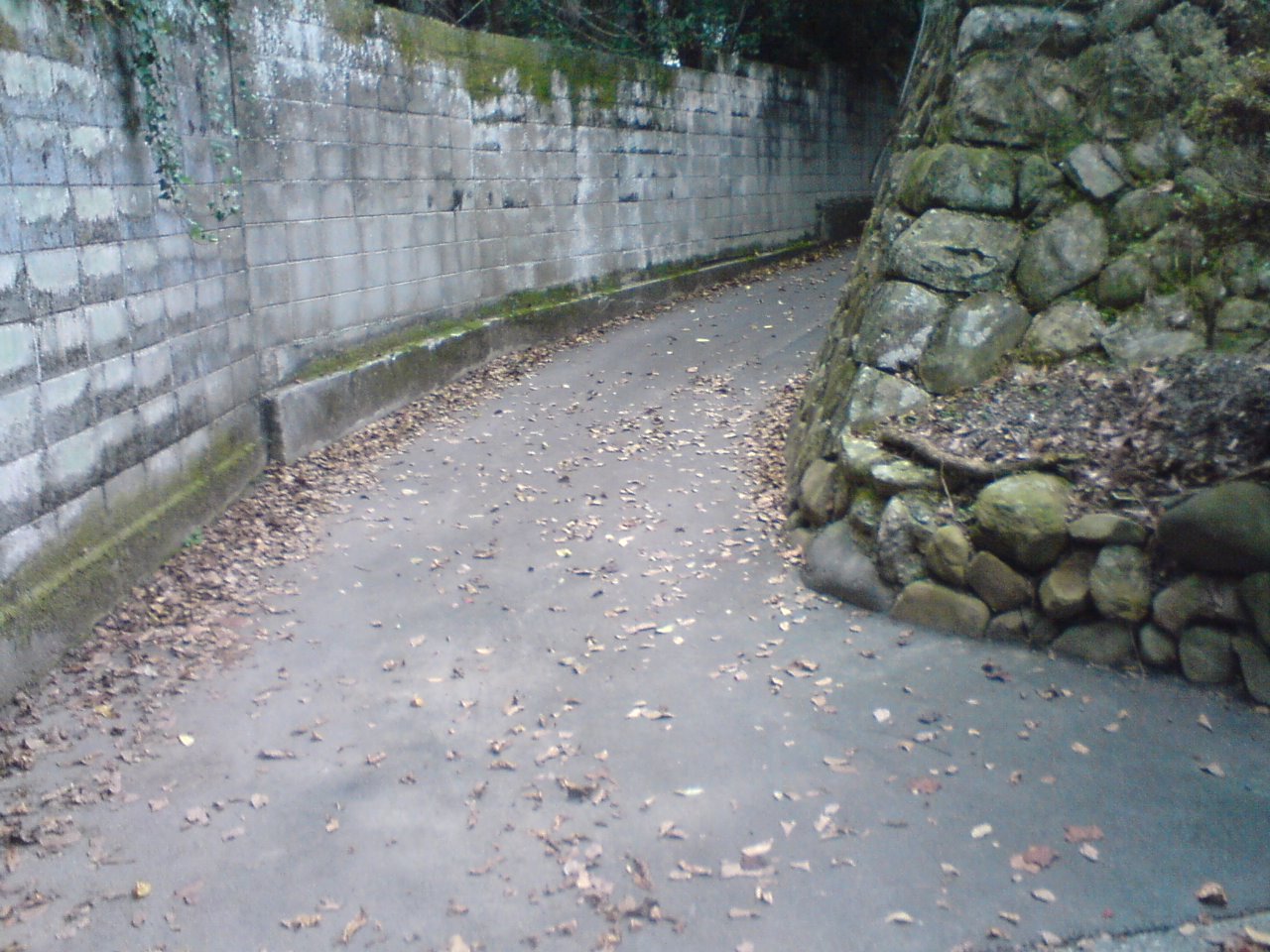 b0212898_20111879.jpg