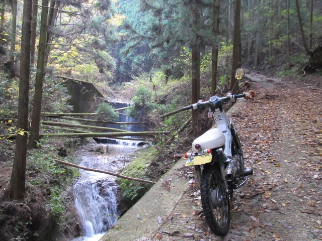 e0157602_19241149.jpg
