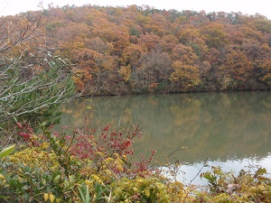 e0207503_2048521.jpg