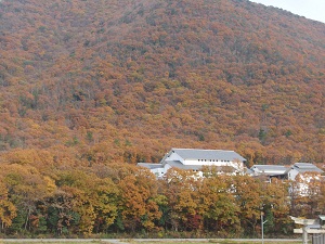 e0207503_2049127.jpg