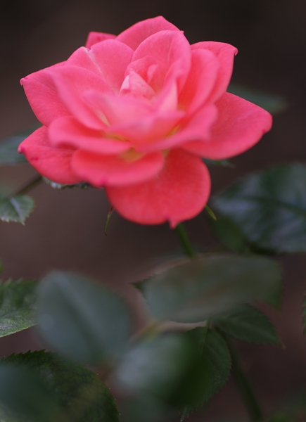 c0228404_7334963.jpg