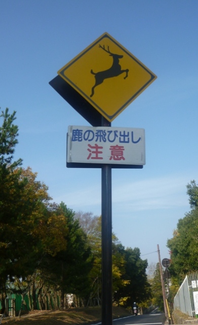 e0146907_17122175.jpg
