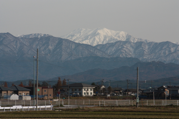 d0001008_1715404.jpg